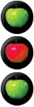 AppleShell.png