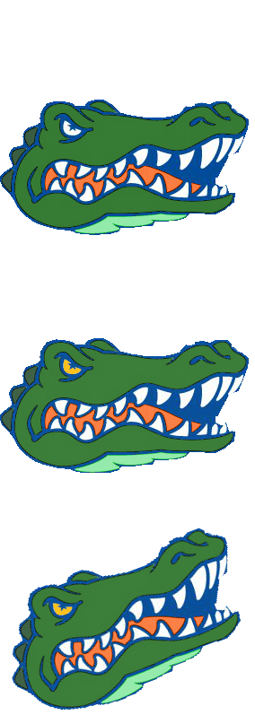 GatorsLogo.png