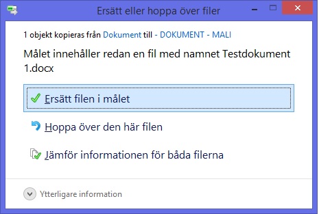 Replace_Copied_Files.jpg