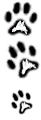 paw.png